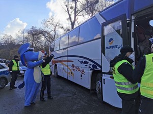 Widoczni policjanci i uczestnicy działań podczas kontroli autokarów przy autostradzie DK 81 w Ochabach Małych (zjazd na Wiślicę)