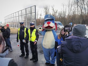 Widoczni policjanci i uczestnicy działań podczas kontroli autokarów przy autostradzie DK 81 w Ochabach Małych (zjazd na Wiślicę)