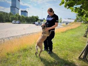 policjantka z psem