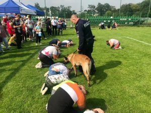 szkolenie z psem z zasad zachowania się na wypadek ataku nieznanego zwierzęcia