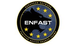 logo ENFAST