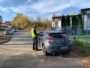 policjant kontroluje auto