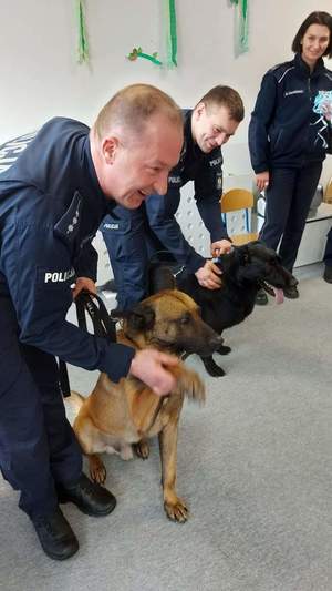 Zdjęcie przedstawia policjantów z psami służbowymi.