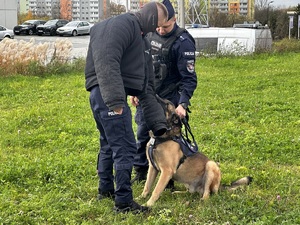 Zdjęcie przedstawia dwóch umundurowanych policjantów z psem służbowym podczas pokazu.