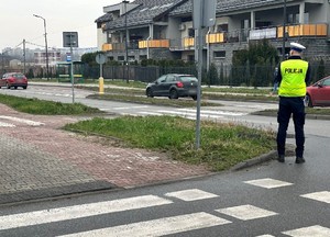 Zdjęcie przedstawia umundurowanego policjanta z wydziału ruchu drogowego w kamizelce odblaskowej stojącego przy przejściu dla pieszych.