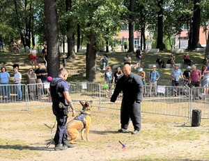 Zdjęcie przedstawia umundurowanych policjantów  z psem służbowym podczas pokazów.