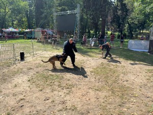 Zdjęcie przedstawia umundurowanych policjantów  z psem służbowym podczas pokazów na wydzielonym terenie.