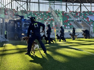 Zdjęcie przedstawia przewodników psów służbowych na terenie obiektu sportowego.