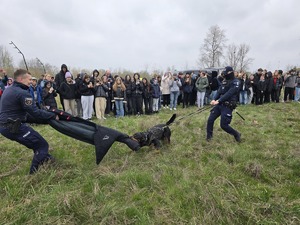 Zdjęcie przedstawia umundurowanych przewodników psa służbowego wraz z psem podczas pokazu. Wokół grupa uczniów biorących udział w Dniu Bezpieczeństwa.