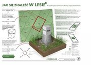 Bezpieczeństwo podczas grzybobrania – apelujemy o rozwagę w lesie