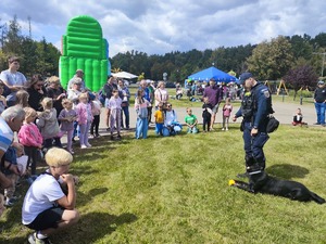 Zdjęcie przedstawia przewodnika psa służbowego podczas pokazu.