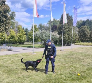 Zdjęcie przedstawia przewodnika psa służbowego podczas pokazu.