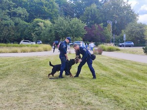 Zdjęcie przedstawia przewodnika psa służbowego podczas pokazu.