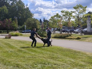 Zdjęcie przedstawia przewodnika psa służbowego podczas pokazu.
