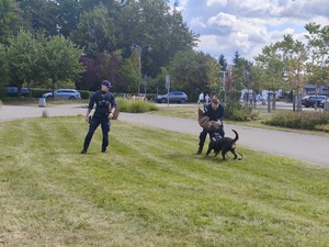Zdjęcie przedstawia przewodnika psa służbowego podczas pokazu.