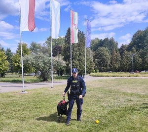 Zdjęcie przedstawia przewodnika psa służbowego podczas pokazu.