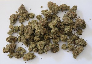 Zdjęcie przedstawia susz roślinny.