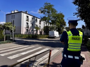 Zdjęcie przedstawia umundurowanego policjanta w rejonie przejścia dla pieszych.