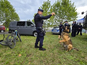 Zdjęcie przedstawia umundurowanego policjanta oraz psa służbowego podczas pikniku.
