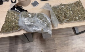 Zdjęcie przedstawia trzy worki z zawartością suszu roślinnego.