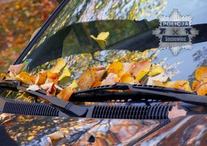 Zdjęcie przedstawia samochód, na którym widoczne są liście.