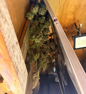 Zdjęcie przedstawia zabezpieczone przez policjantów substancje.