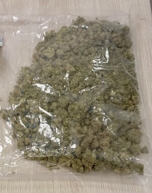 Zdjęcie przedstawia susz roślinny.