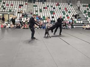 Zdjęcie przedstawia umundurowanych policjantów wraz z psem służbowym