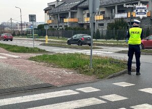 "Bezpieczny Pieszy" - policjanci ujawnili 91 wykroczeń