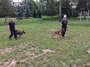 Policjanci i dzieci podczas festynu.