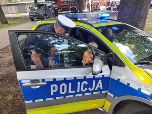 Policjanci i dzieci podczas festynu.