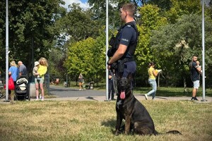 Przewodnik psa służbowego oraz pies podczas pokazu.
