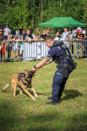 Zdjęcie przedstawia przewodnika psa służbowego z psem podczas pokazu.