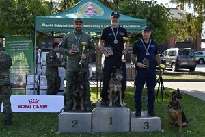 Umundurowani funkcjonariusze z psami służbowymi na podium.