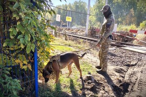 Funkcjonariusz SOK z psem służbowym na terenie kolejowym.